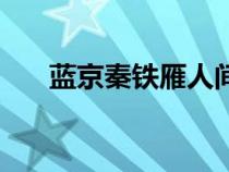 藍京秦鐵雁人間政道飛速網（飛速網）