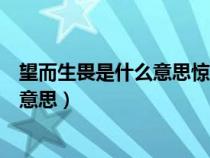 望而生畏是什么意思驚嘆不已是什么意思（望而生畏是什么意思）