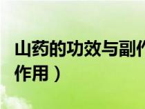 山藥的功效與副作用禁忌癥（山藥的功效與副作用）