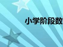 小學(xué)階段數(shù)的分類(數(shù)的分類) 小學(xué)階段數(shù)的分類(數(shù)的分類)