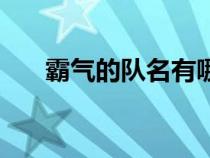 霸氣的隊名有哪些（霸氣的隊伍名稱）