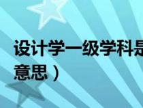設(shè)計學(xué)一級學(xué)科是什么意思（一級學(xué)科是什么意思）