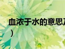 血濃于水的意思及近義詞?（血濃于水的意思）