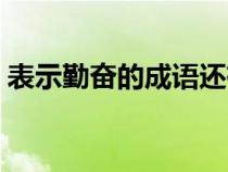 表示勤奮的成語還有哪些（表示勤奮的成語）