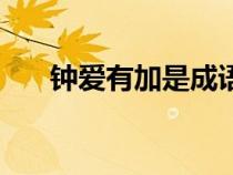 鐘愛有加是成語嗎（鐘愛有加的意思）