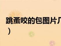 跳蚤咬的包圖片幾天才能消（跳蚤咬的包圖片）