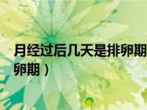 月經(jīng)過后幾天是排卵期容易懷孕是男孩（月經(jīng)過后幾天是排卵期）