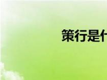 策行是什么意思(策行) 策行是什么意思(策行)