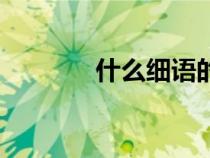 什么細(xì)語的成語（語的成語）