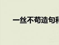 一絲不茍造句和意思（一絲不茍造句）