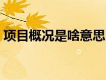 項(xiàng)目概況是啥意思（項(xiàng)目概況包括哪些內(nèi)容）
