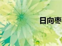 日向棗生日（日向棗）