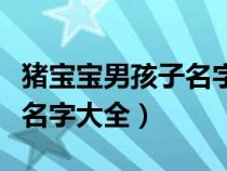 豬寶寶男孩子名字大全兩個字（豬寶寶男孩子名字大全）