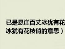 已是懸崖百丈冰猶有花枝俏的意思什么天氣（已是懸崖百丈冰猶有花枝俏的意思）