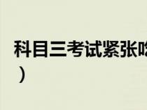 科目三考試緊張吃什么藥（考試緊張吃什么藥）
