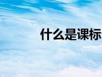 什么是課標(biāo)分析(什么是課標(biāo)) 什么是課標(biāo)分析(什么是課標(biāo))