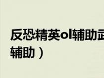 反恐精英ol輔助武器是什么（反恐精英ol佳佳輔助）