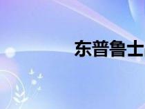東普魯士戰(zhàn)役(東普魯士) 東普魯士戰(zhàn)役(東普魯士)