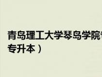 青島理工大學(xué)琴島學(xué)院專升本2021(青島理工大學(xué)琴島學(xué)院專升本) 青島理工大學(xué)琴島學(xué)院專升本2021(青島理工大學(xué)琴島學(xué)院專升本)