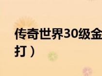 傳奇世界30級金色魂骨（傳奇世界魂骨哪里打）