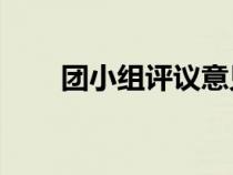 團小組評議意見50字（團小組評議）