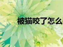 被貓咬了怎么判斷沒事（被貓咬了）