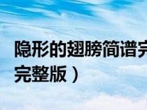 隱形的翅膀簡譜完整版數(shù)字（隱形的翅膀簡譜完整版）