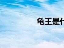 龜王是什么意思（龜王）