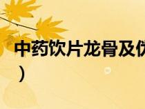 中藥飲片龍骨及偽品的鑒別（中藥龍骨是什么）