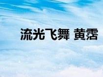流光飛舞 黃霑（流光飛舞梅子黃時(shí)雨）