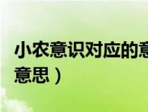 小農(nóng)意識對應(yīng)的意識是什么（小農(nóng)意識是什么意思）
