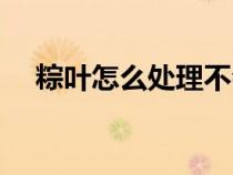粽葉怎么處理不會開裂(粽葉怎么處理) 粽葉怎么處理不會開裂(粽葉怎么處理)