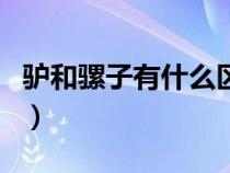 驢和騾子有什么區(qū)別嗎（驢和騾子有什么區(qū)別）
