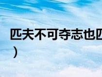 匹夫不可奪志也匹夫什么意思（匹夫什么意思）