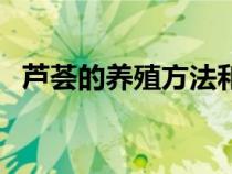 蘆薈的養(yǎng)殖方法和繁殖（蘆薈的養(yǎng)殖方法）