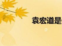 袁宏道是誰的間諜（袁宏）