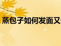 蒸包子如何發(fā)面又快又好（蒸包子如何發(fā)面）