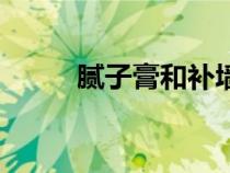 膩子膏和補墻膏的區(qū)別（膩子膏）
