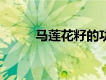 馬蓮花籽的功效與作用（馬蓮花）
