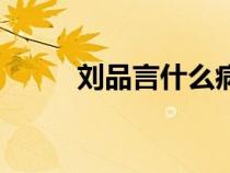 劉品言什么?。▌⑵费詾槭裁磁郑? title=