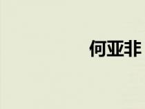 何亞非 出席（何亞非）
