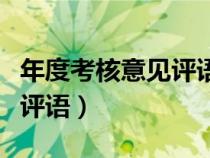 年度考核意見評語不足怎么寫（年度考核意見評語）