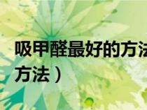 吸甲醛最好的方法哪種植物好（吸甲醛最好的方法）