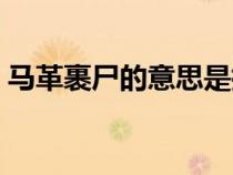 馬革裹尸的意思是指什么(馬革裹尸的意思) 馬革裹尸的意思是指什么(馬革裹尸的意思)
