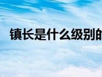 鎮(zhèn)長(zhǎng)是什么級(jí)別的干部(鎮(zhèn)長(zhǎng)是什么級(jí)別) 鎮(zhèn)長(zhǎng)是什么級(jí)別的干部(鎮(zhèn)長(zhǎng)是什么級(jí)別)