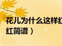 花兒為什么這樣紅簡(jiǎn)譜歌譜（花兒為什么這樣紅簡(jiǎn)譜）