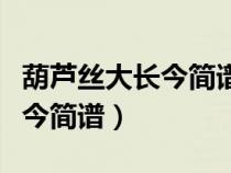 葫蘆絲大長今簡譜教唱視頻第二（葫蘆絲大長今簡譜）