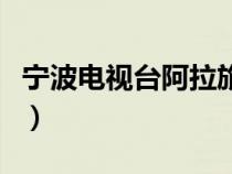 寧波電視臺阿拉旅游（寧波電視臺阿拉講大道）