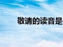 敬請(qǐng)的讀音是什么（敬請(qǐng)什么意思）