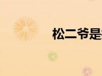 松二爺是打手嗎（松二爺）